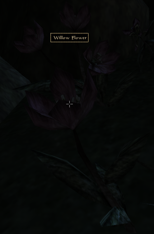 Willow Flower in Morrowind